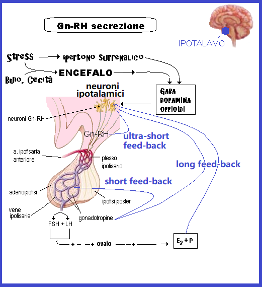 Gn Rh Gonadotropin Releasing Hormone Analoghi Antagonisti Recettori Fertilitycenter